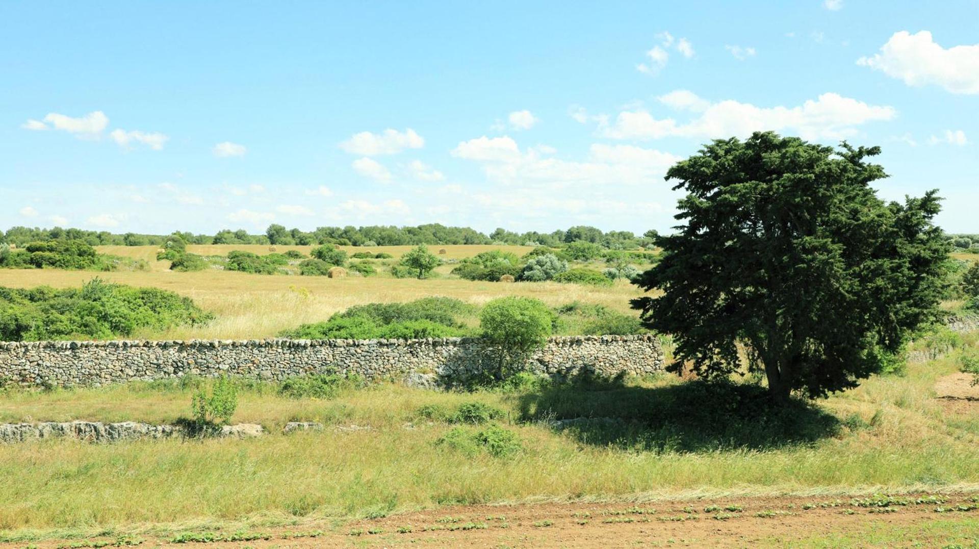 La Valle Delle Rose Massafra Exterior photo